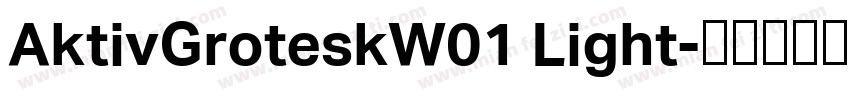 AktivGroteskW01 Light字体转换